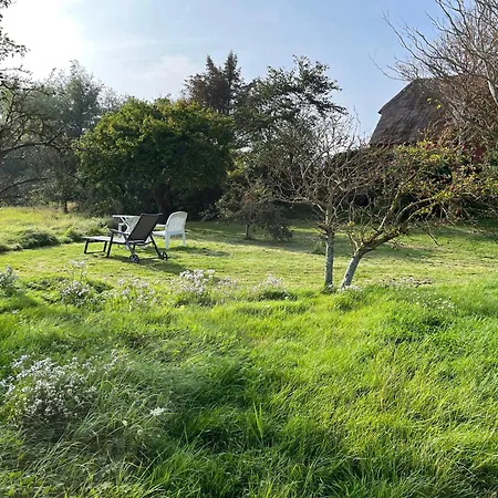 Schardeichhof Meyer Pellworm