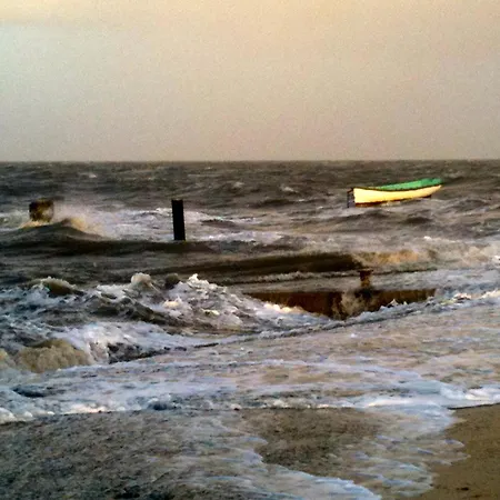 Schardeichhof Meyer Pellworm