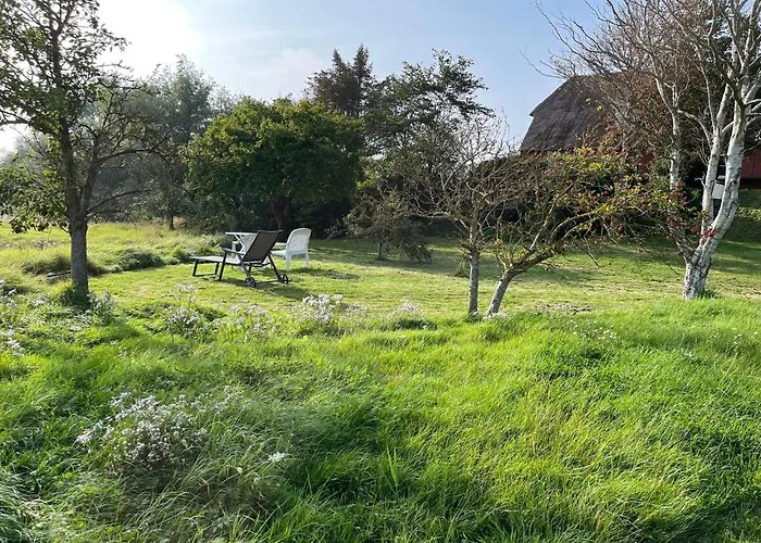 Schardeichhof Meyer Pellworm