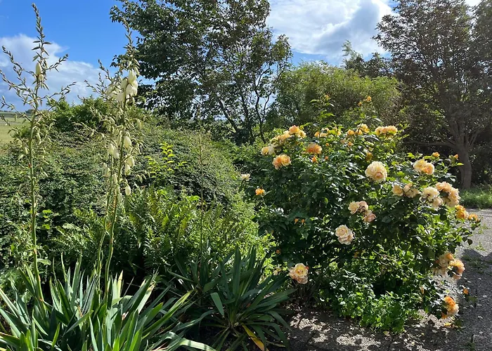 Schardeichhof Meyer *