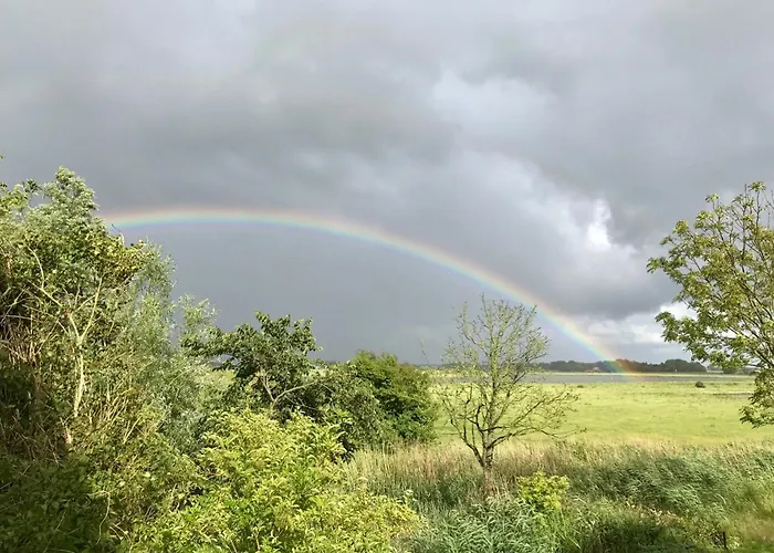 Lägenhet Schardeichhof Meyer
