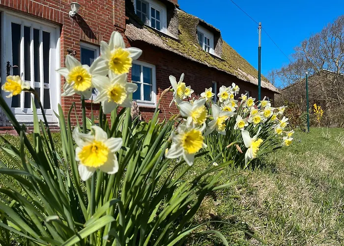 Schardeichhof Meyer Pellworm