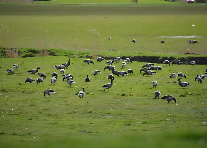 Schardeichhof Meyer Lägenhet