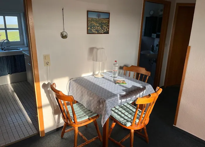 Schardeichhof Meyer Pellworm