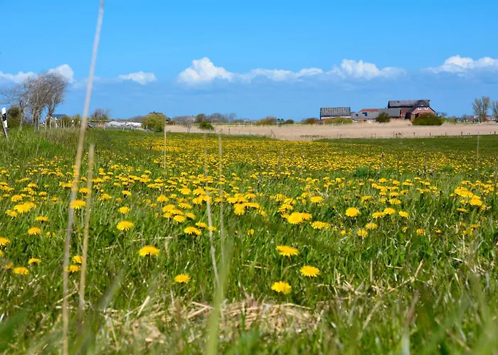 Lägenhet Schardeichhof Meyer