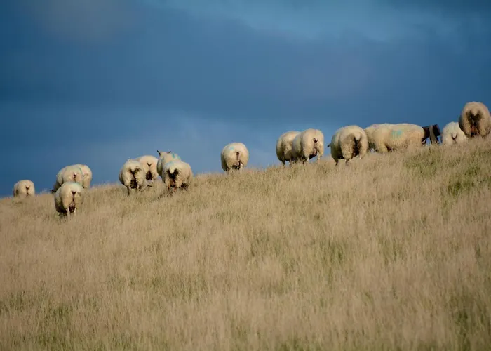 Lägenhet Schardeichhof Meyer Pellworm